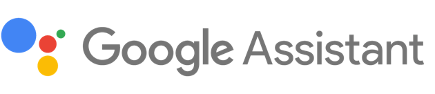 Voice Google Assistant